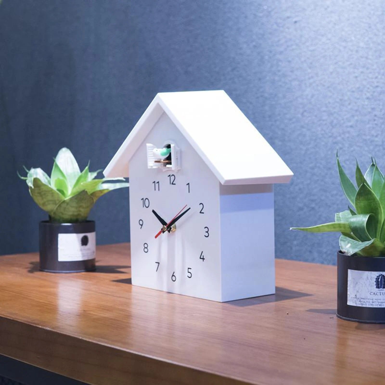Modern Cuckoo Clock